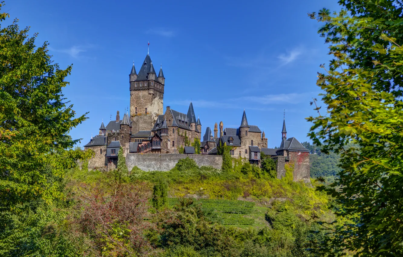 Photo wallpaper greens, the sky, trees, castle, blue, Germany, Sunny, the bushes