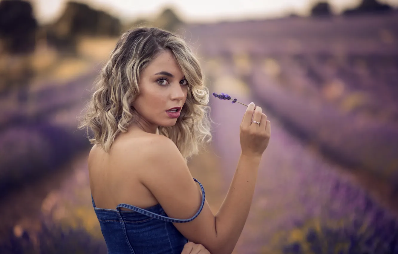 Photo wallpaper girl, lavender, Laura