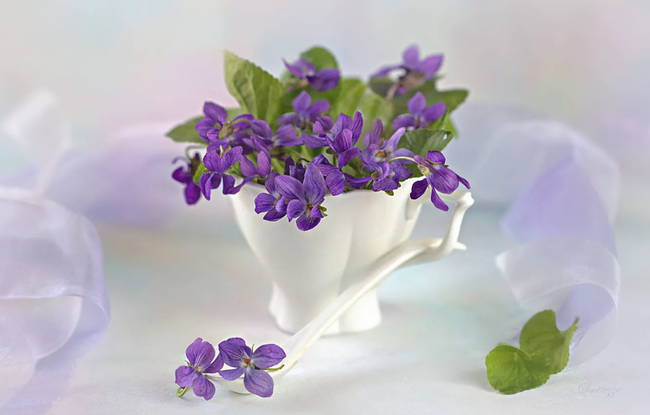 Photo wallpaper still life, spoon, Cup, violet