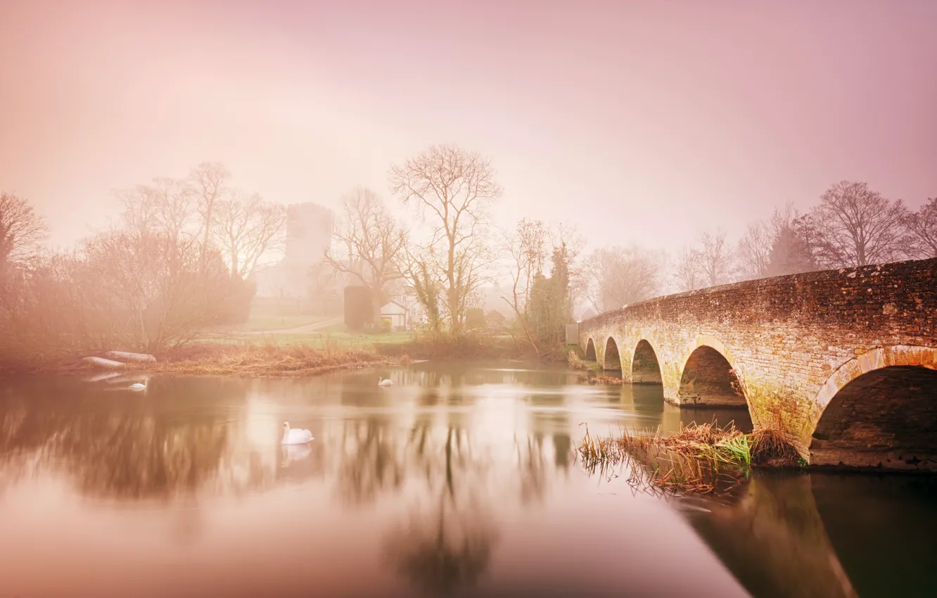 Photo wallpaper bridge, fog, river