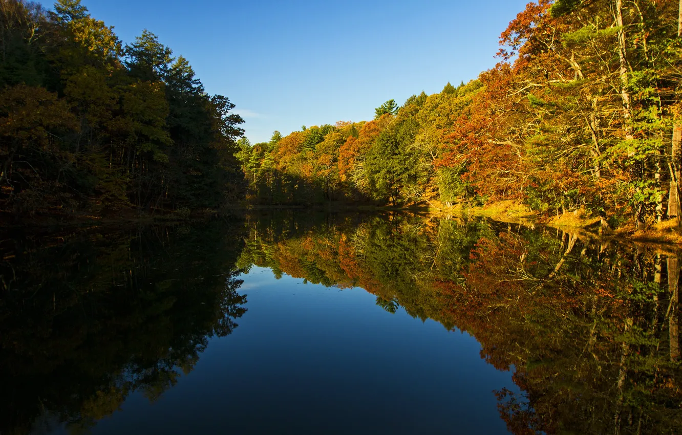 Photo wallpaper autumn, forest, water, river