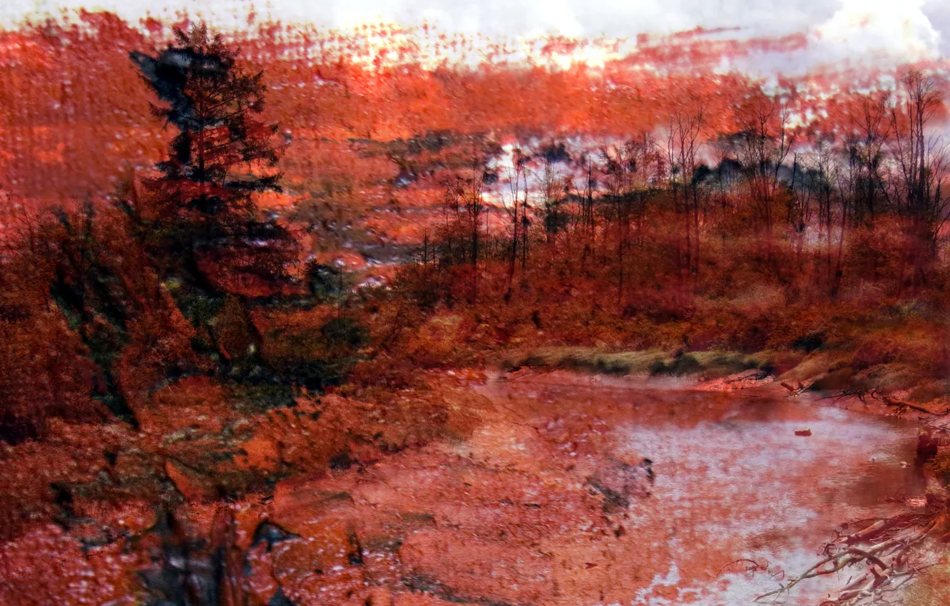 Photo wallpaper style, background, color, picture