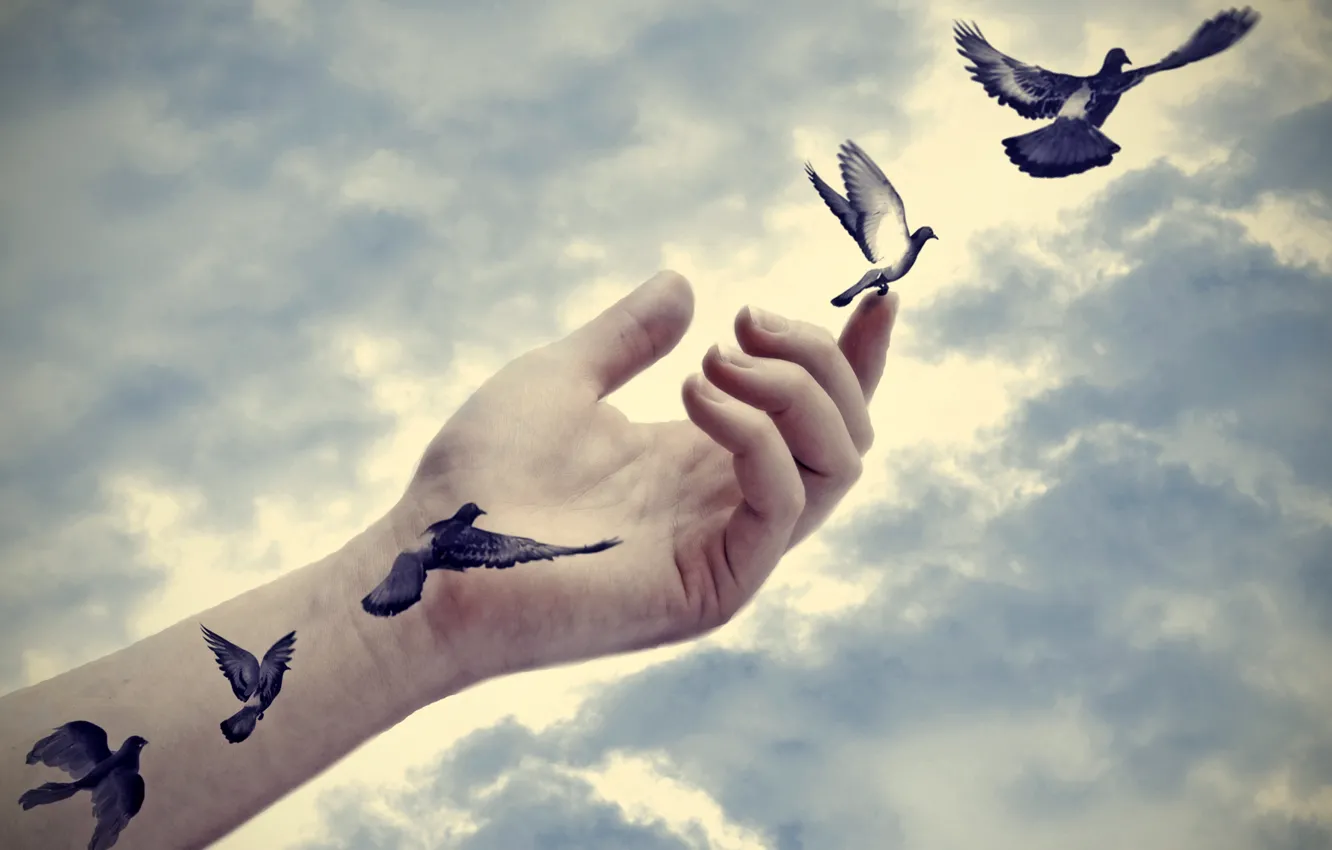 Photo wallpaper peace, freedom, tattoo, effect, hand, real, doves, arm