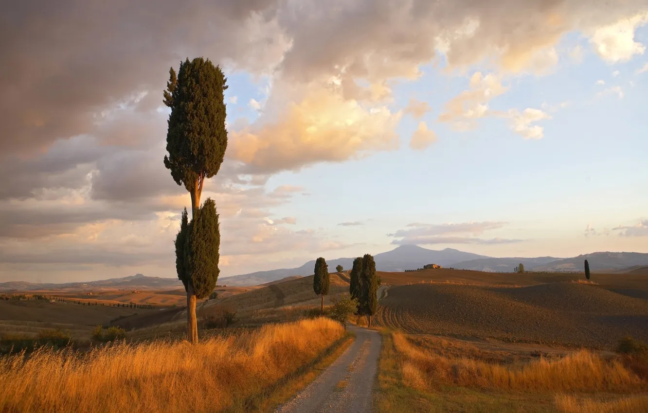 Photo wallpaper road, trees, hills, space