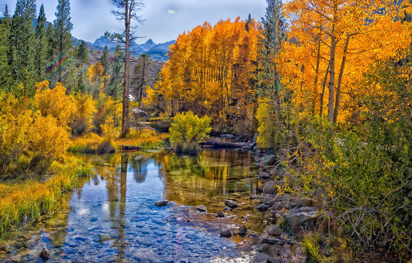 Photo wallpaper autumn, the sky, clouds, trees, mountains, river, stones