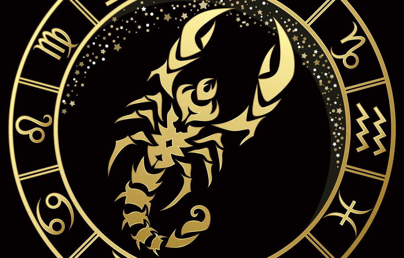 Photo wallpaper Scorpio, black background, zodiac sign, gold stripe