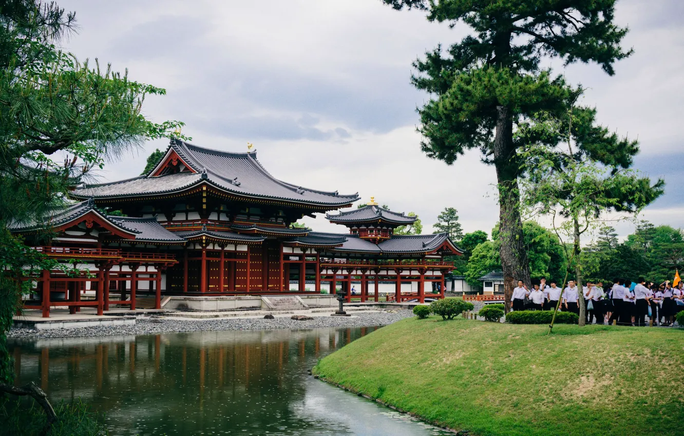 Photo wallpaper temple, Japan, pine, tour, the Byod Temple Uji