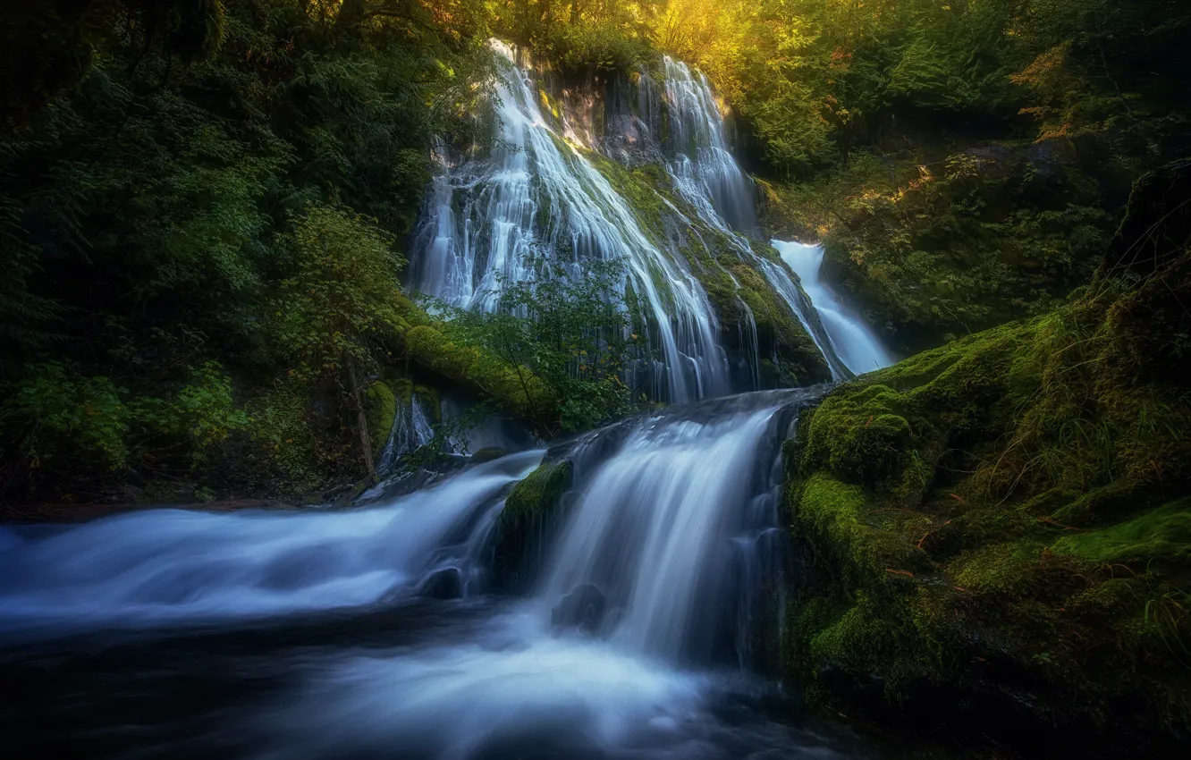 Photo wallpaper forest, light, nature, river, rocks, waterfall, stream