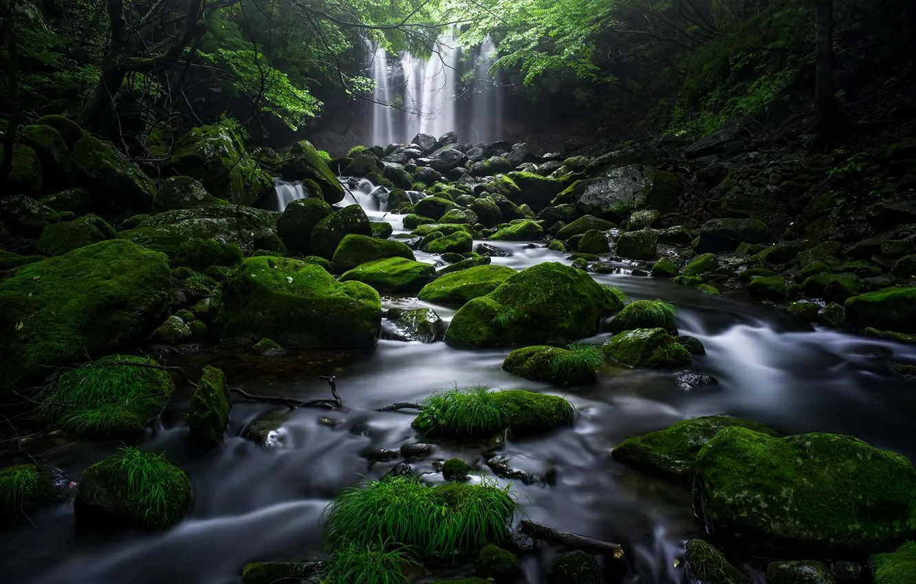 Photo wallpaper nature, river, stones, waterfall, moss