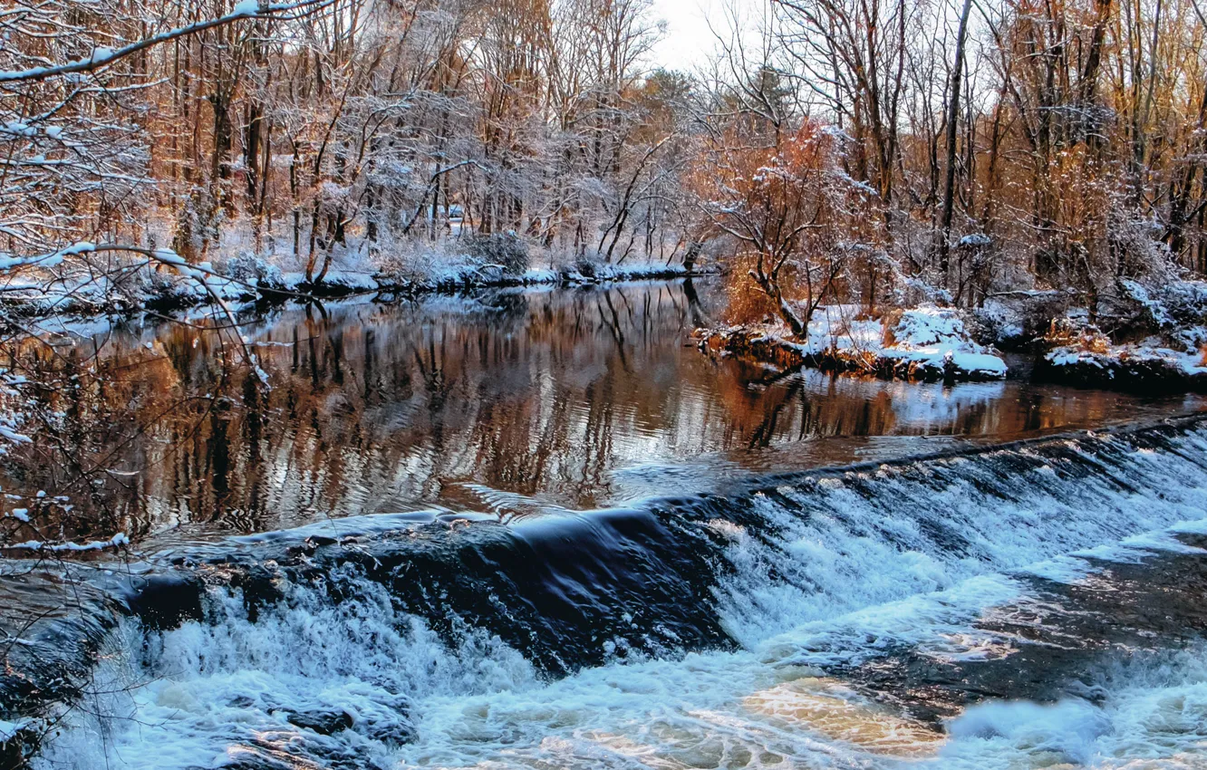 Photo wallpaper winter, forest, river, stream, the threshold