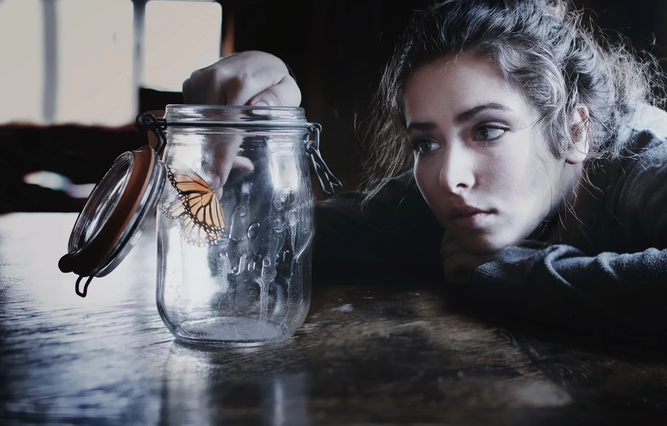 Photo wallpaper girl, butterfly, Bank