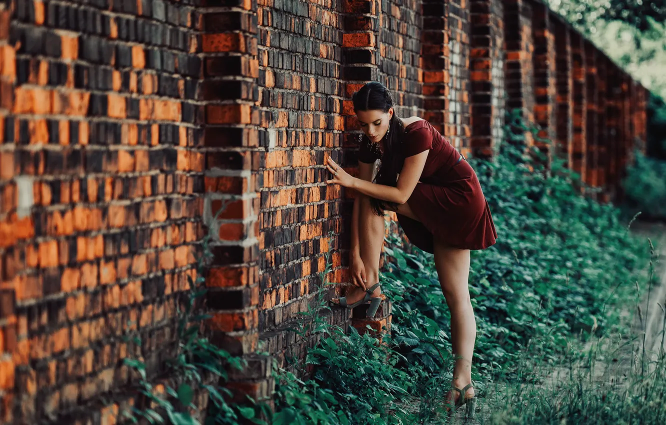 Photo wallpaper girl, the fence, Carina Cara