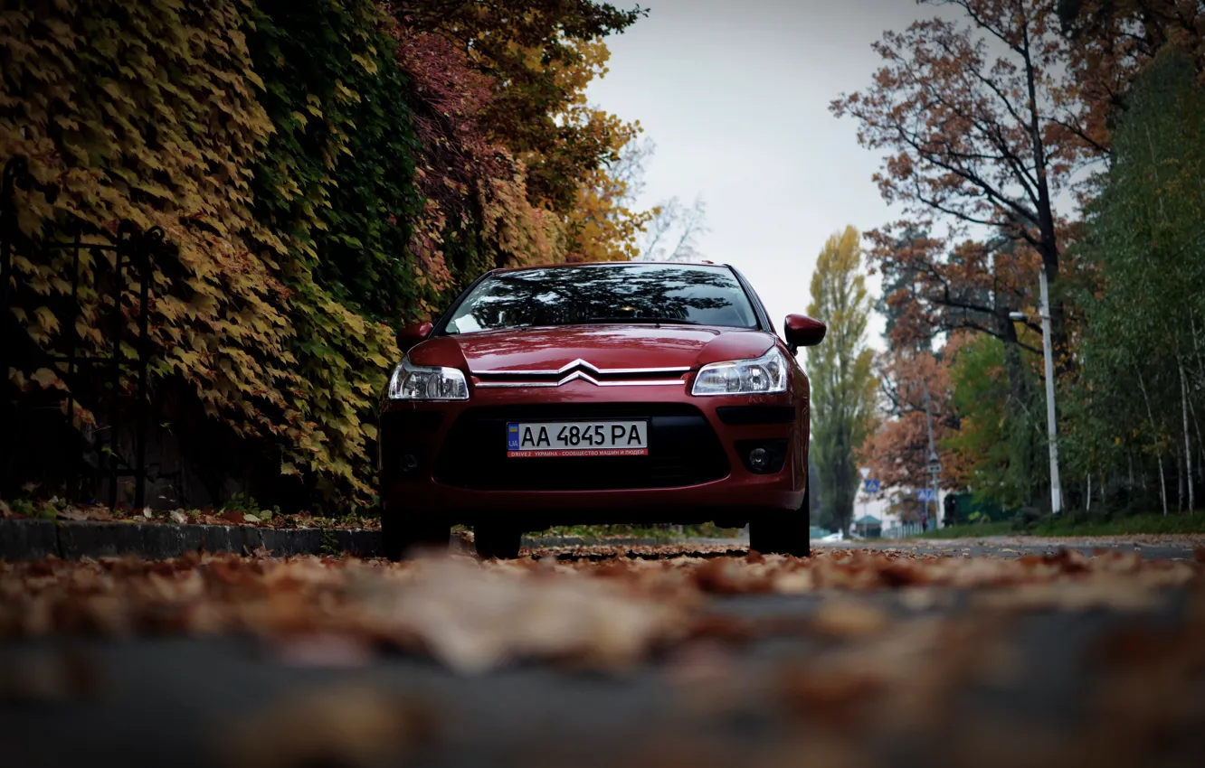 Photo wallpaper machine, autumn, leaves, Citroen, Citroen, Car, car, France