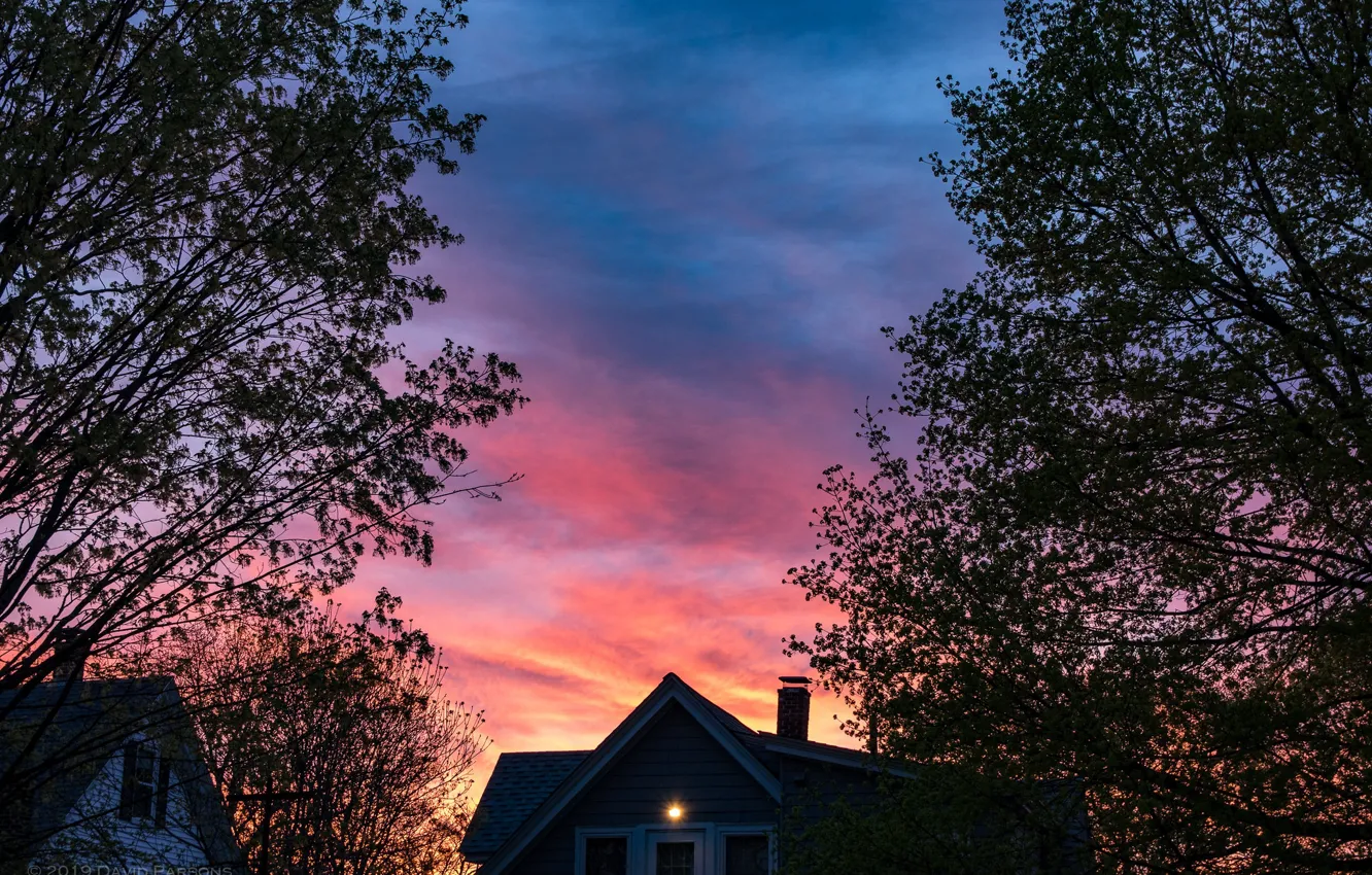 Photo wallpaper the sky, trees, sunset, home, the evening