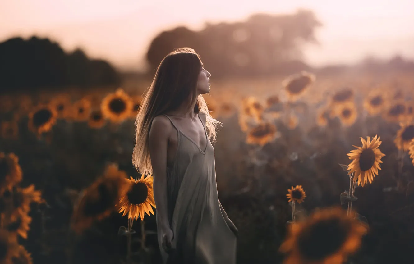 Photo wallpaper field, summer, girl, sunflowers