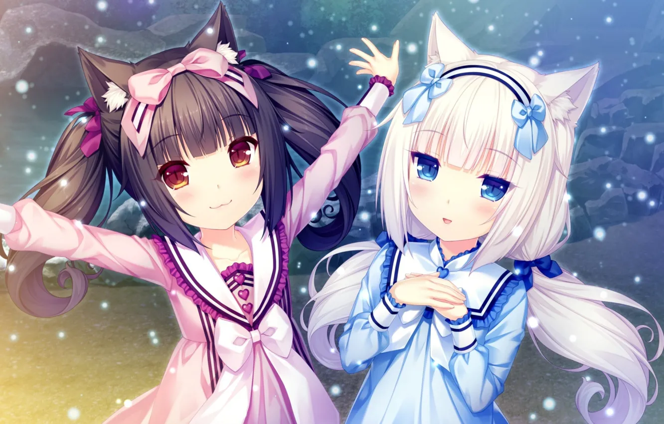 Photo wallpaper girl, neko, NekoPara