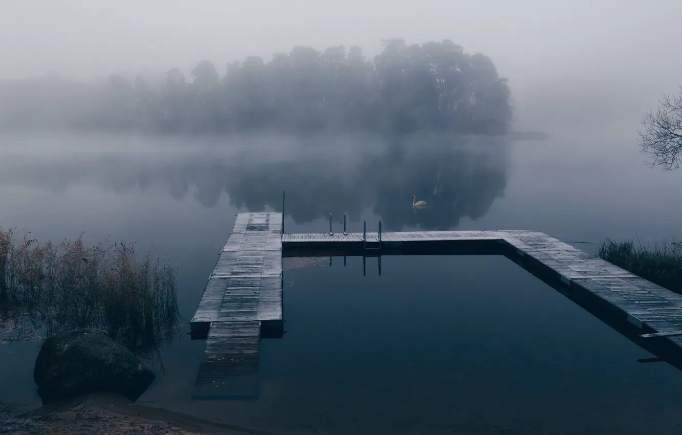 Photo wallpaper fog, lake, pier, swans