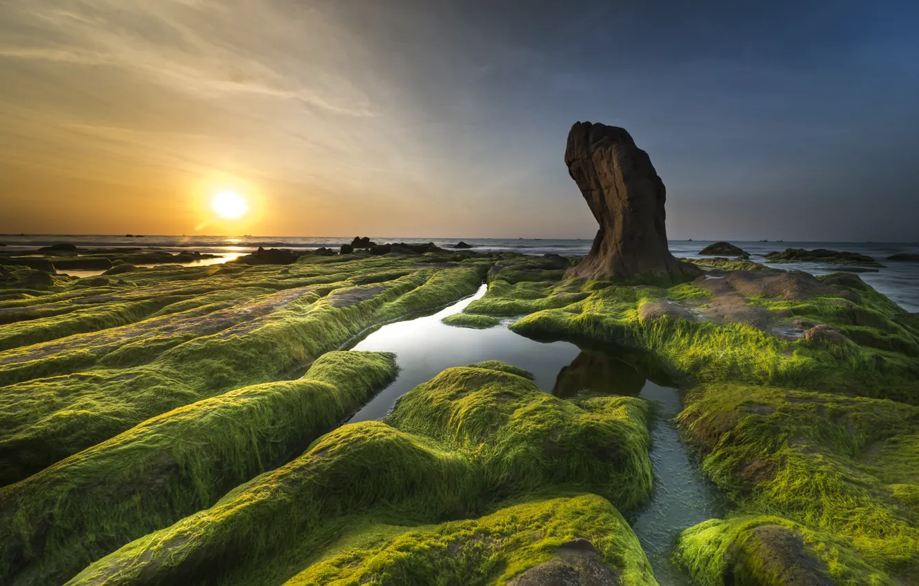 Photo wallpaper Sunset, Nature, Sea, Shore, Stones, Algae