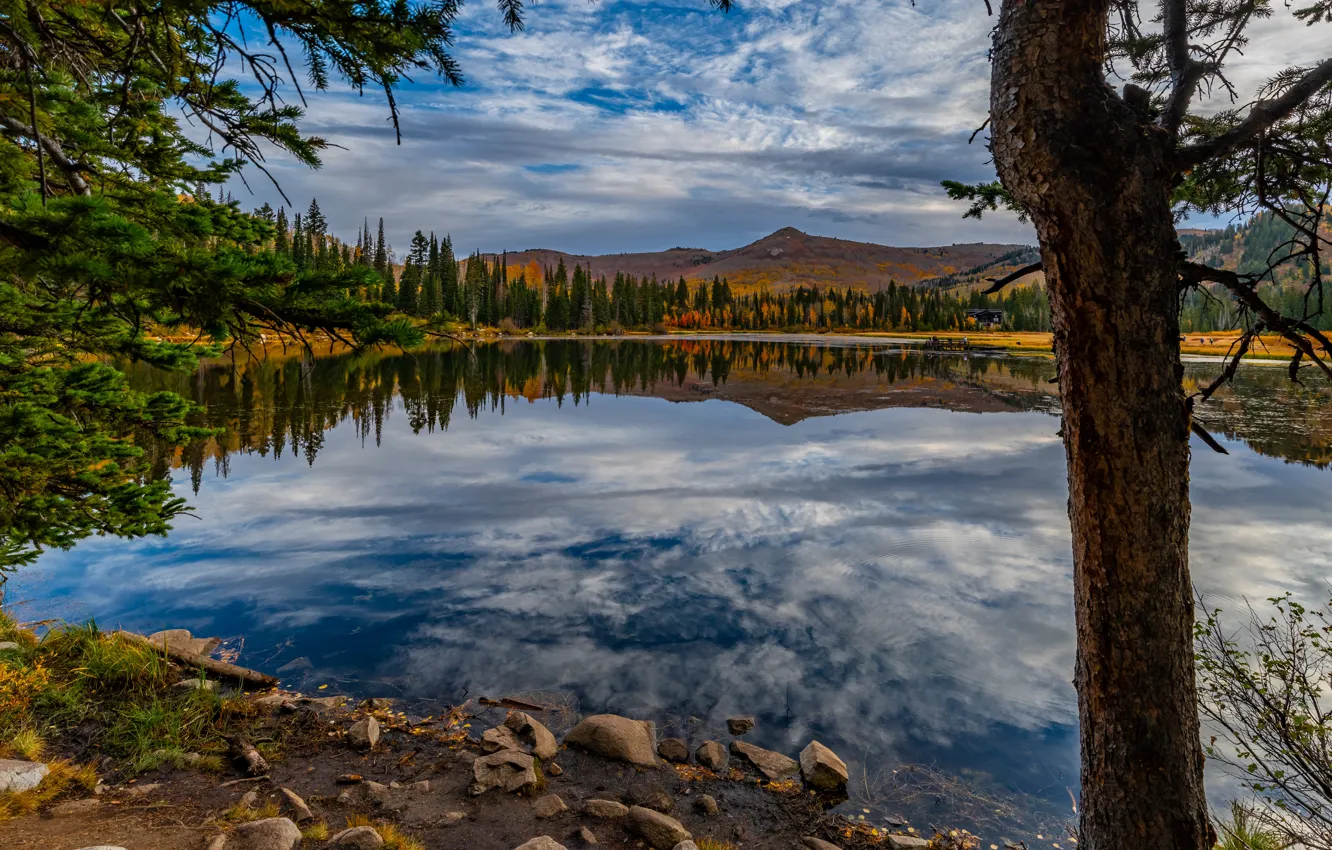 Photo wallpaper trees, mountains, lake, reflection, Utah, Utah, Silver Lake, Silver lake