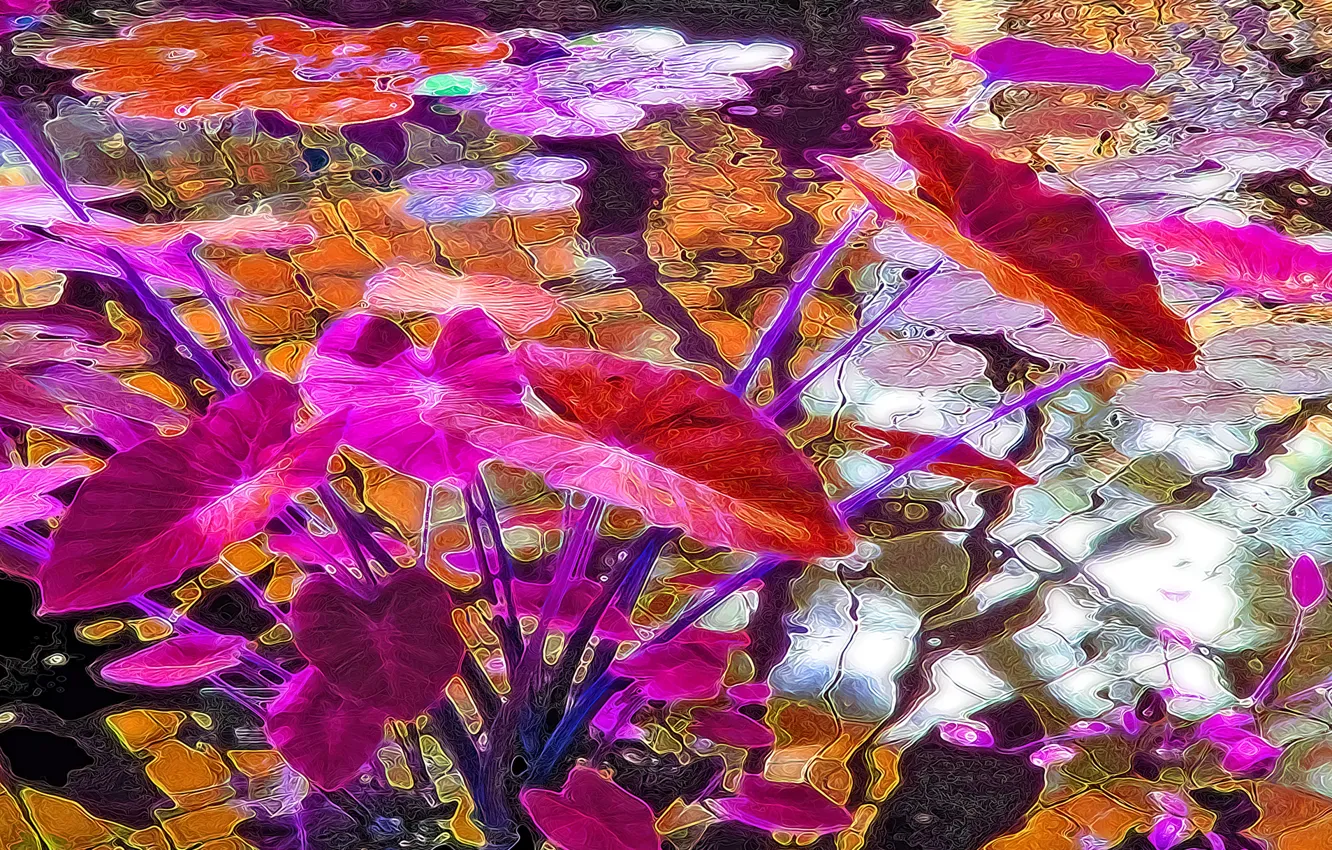 Photo wallpaper leaves, rendering, figure, color, vector, pond