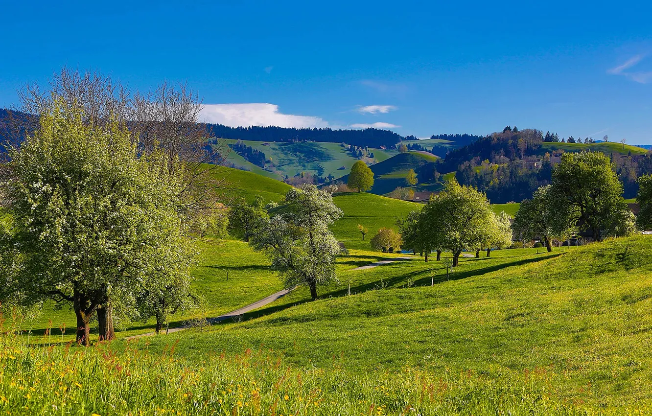 Photo wallpaper road, the sky, grass, trees, mountains, hills