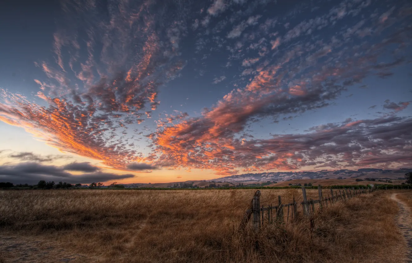 Photo wallpaper field, the sky, nature, marinki