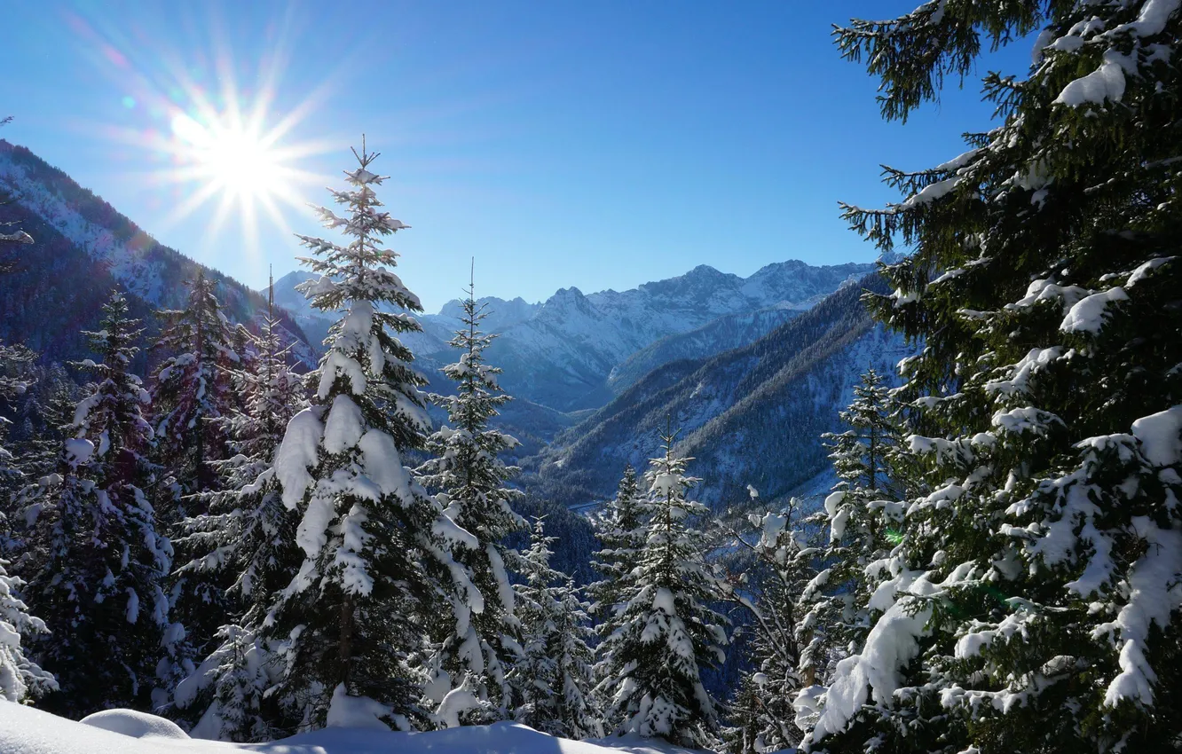 Photo wallpaper winter, forest, the sky, the sun, light, snow, mountains, tree