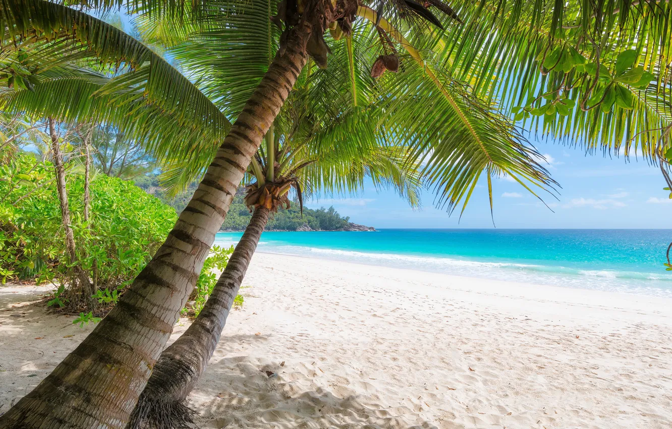 Photo wallpaper sand, sea, Palma.
