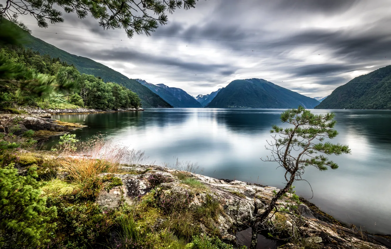 Photo wallpaper trees, mountains, lake, Norway, Dragsviki, Sognefjord