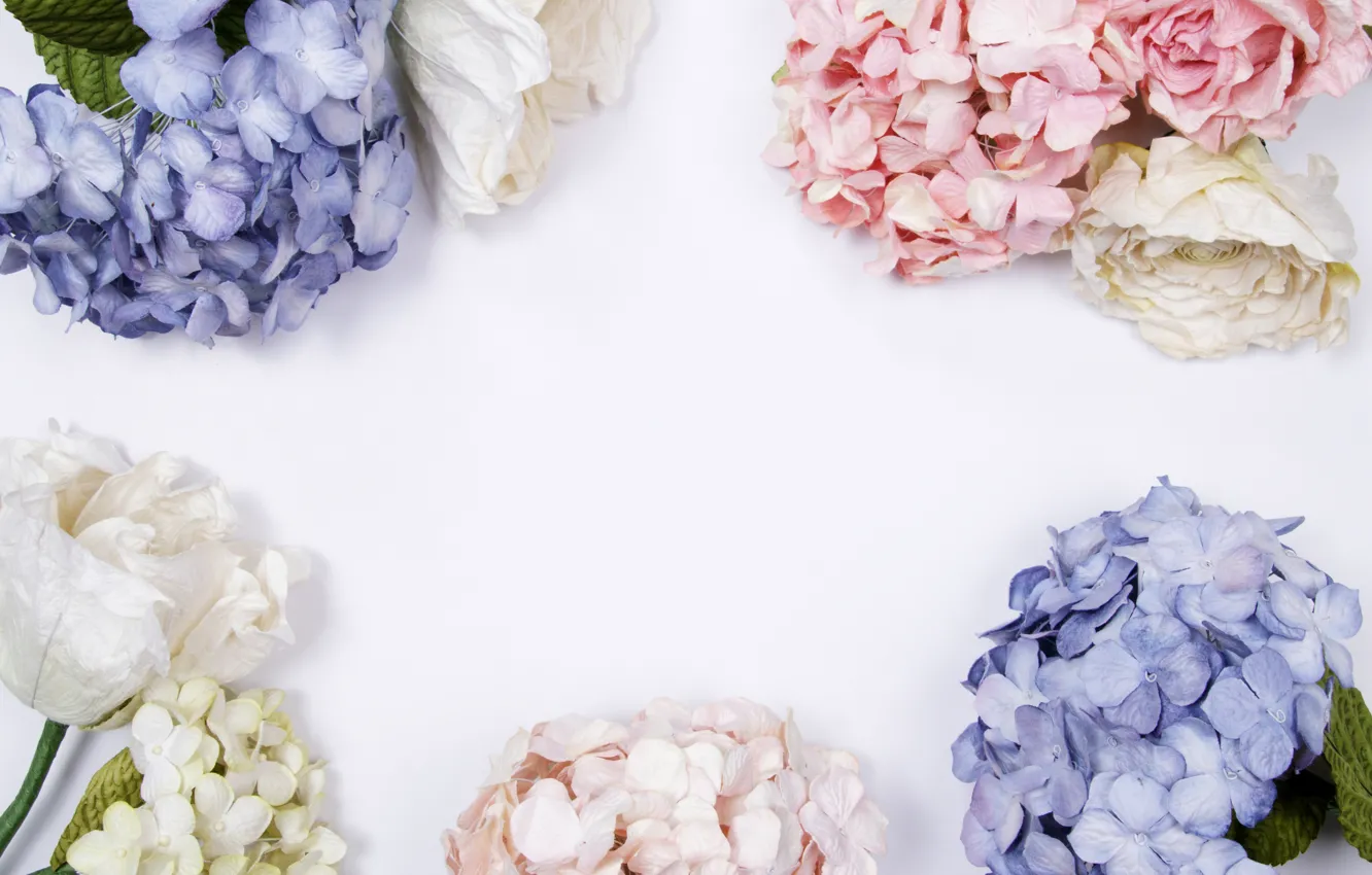 Photo wallpaper flowers, background, blue, pink, flowers