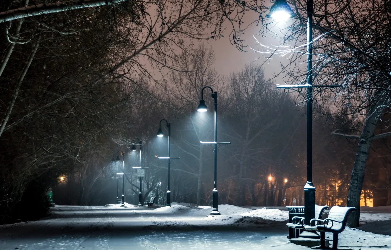 Photo wallpaper winter, the sky, snow, trees, bench, night, nature, lights