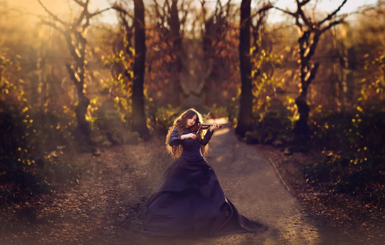 Photo wallpaper violin, dress, girl, sunlight