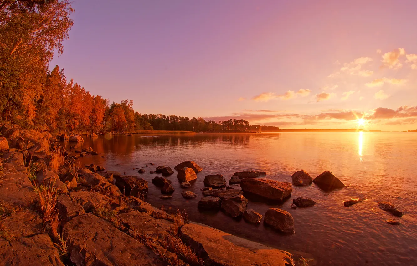 Photo wallpaper the sun, trees, lake, shore, Finland, The beach park area, Ramsinruska, Petri Juntunen
