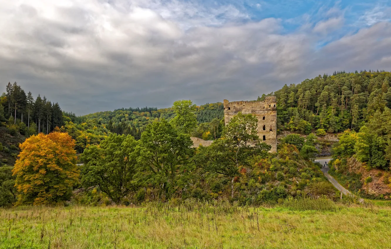 Photo wallpaper road, forest, the sky, clouds, trees, castle, Germany, the ruins