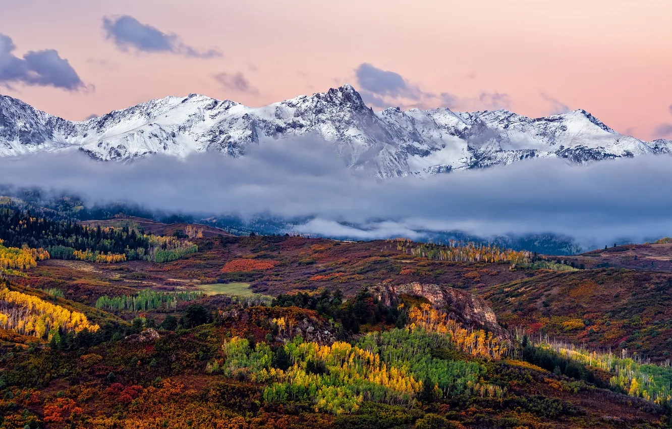 Photo wallpaper autumn, forest, snow, mountains, fog, dal, slope, haze