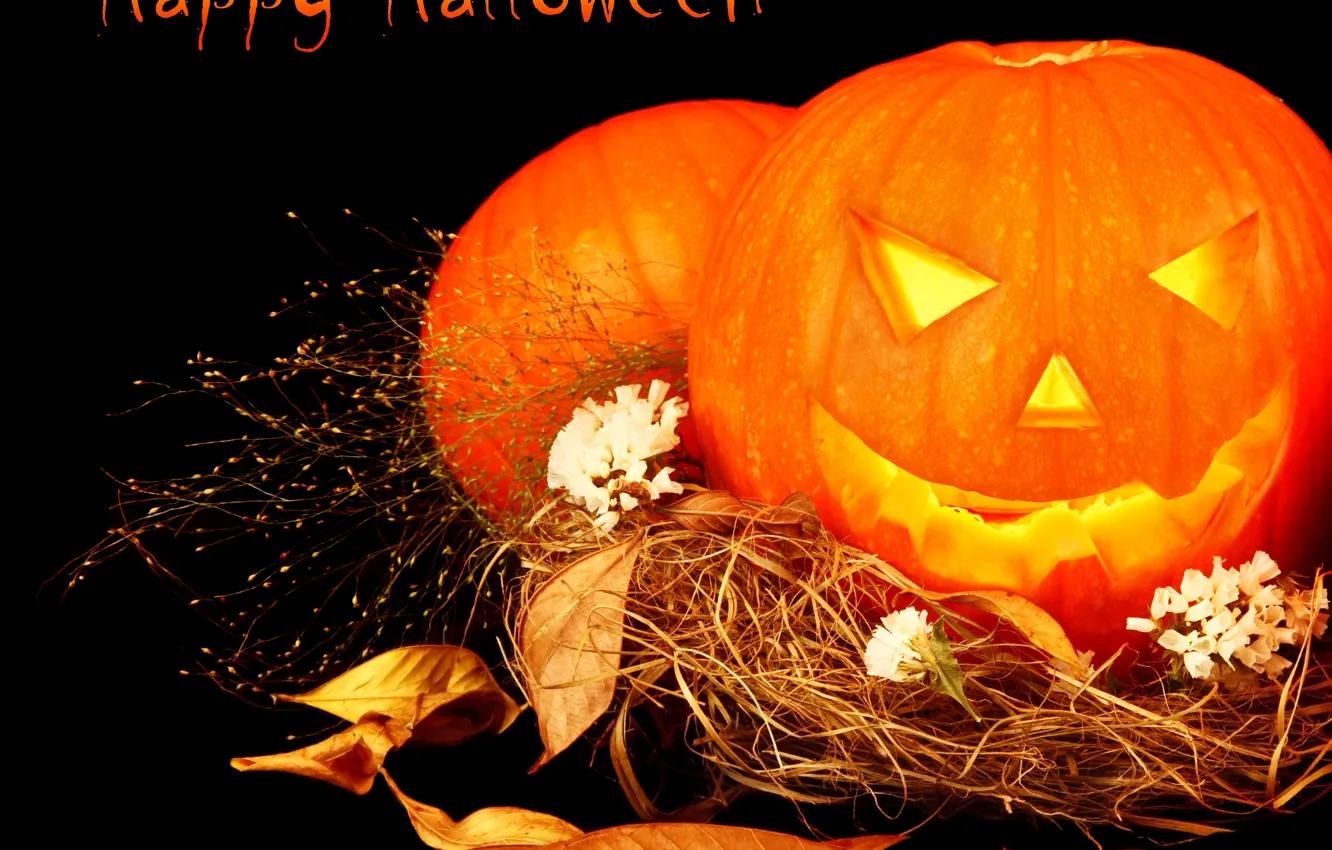 Photo wallpaper leaves, photo, Halloween, pumpkin, straw