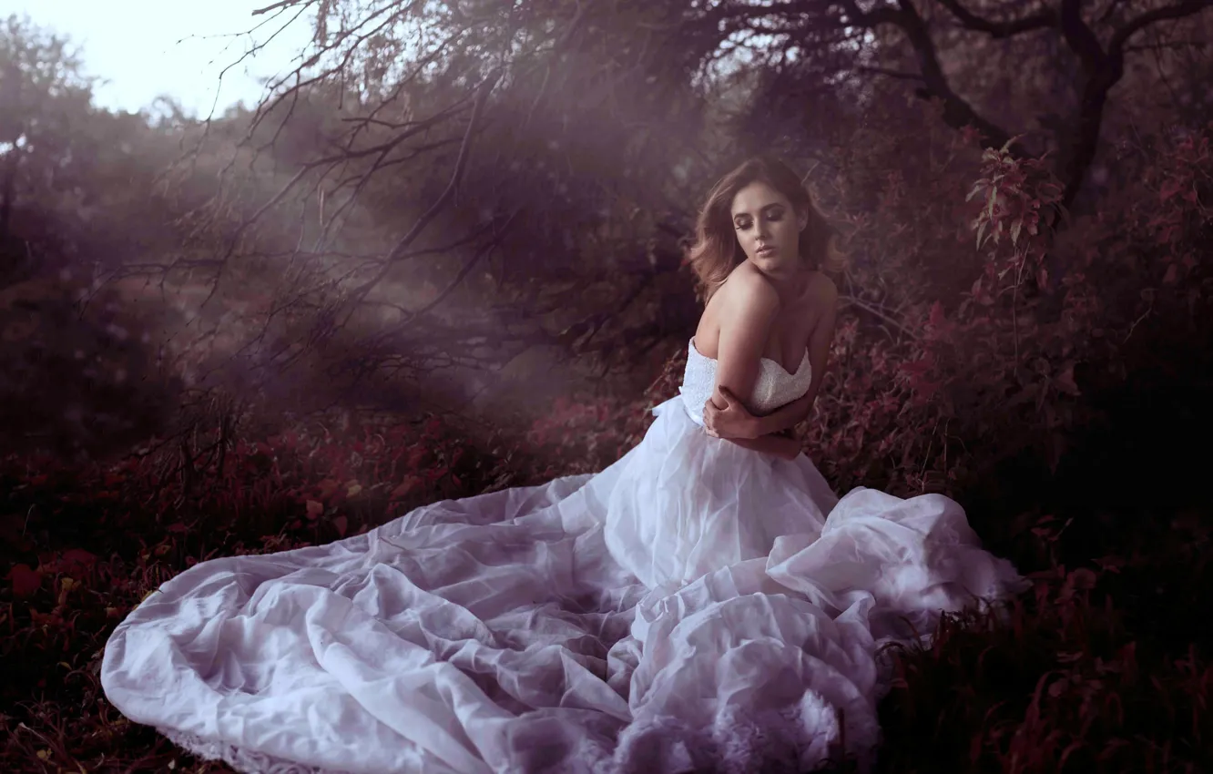 Photo wallpaper girl, trees, the situation, dress, cold, Maiden of Autumn