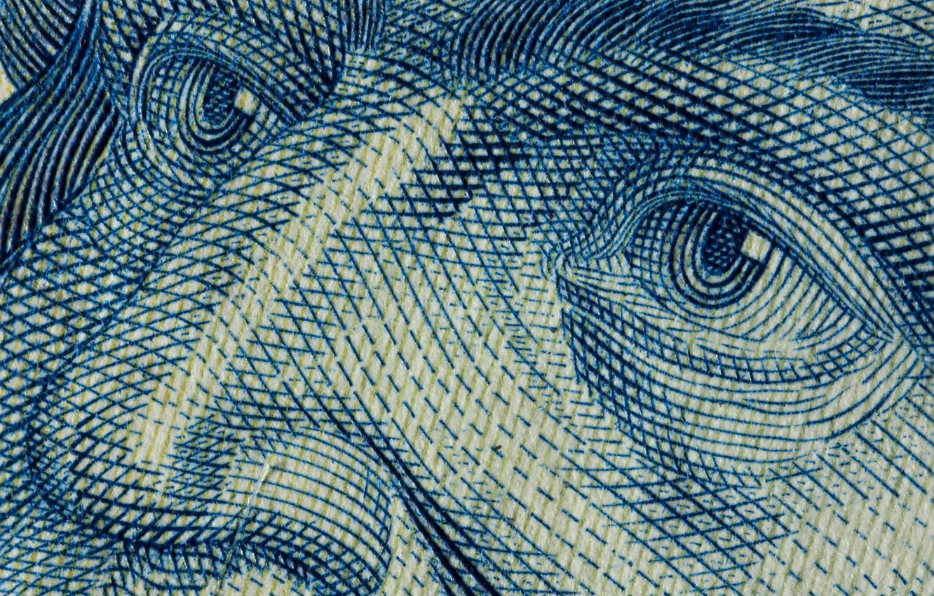 Photo wallpaper macro, portrait, pattern, dollars, banknotes