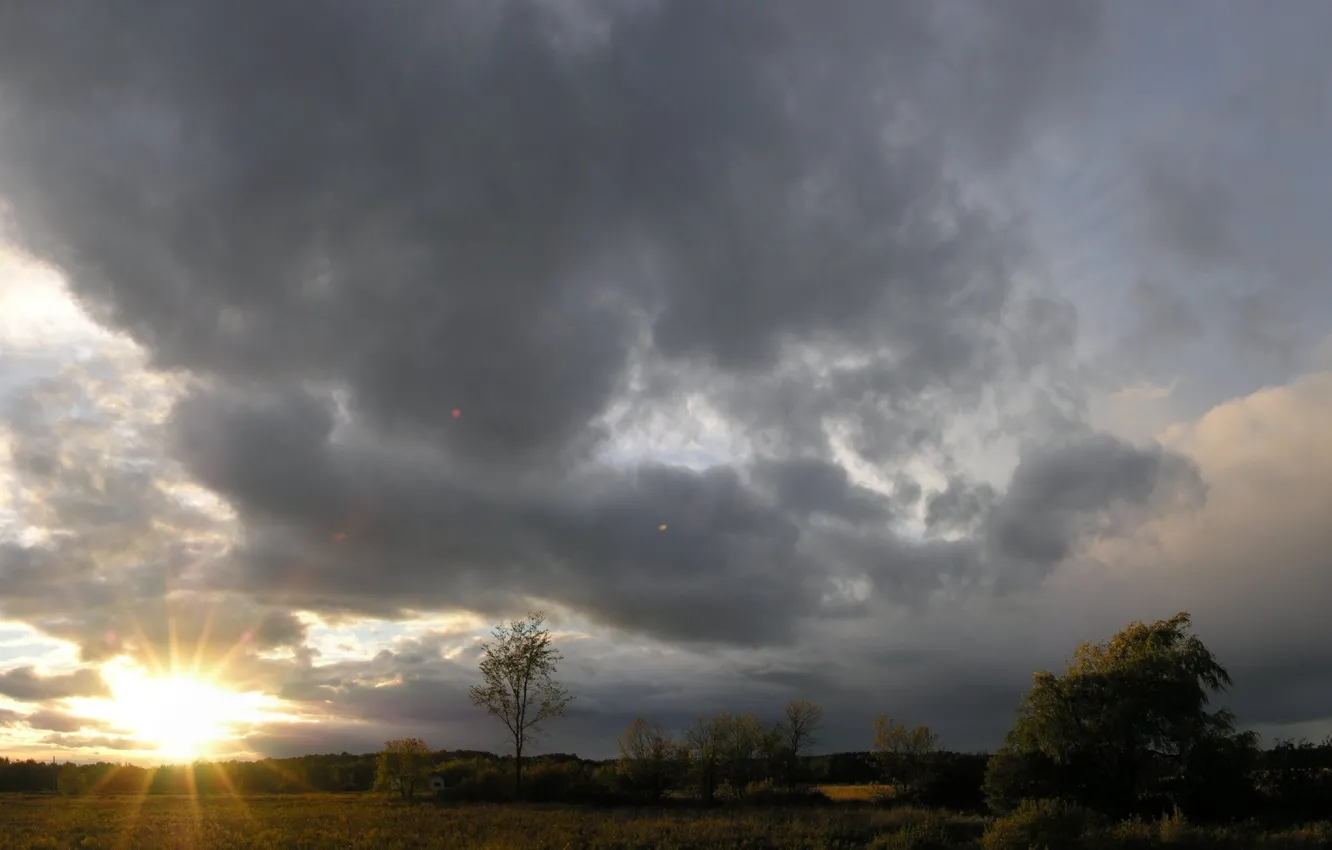 Photo wallpaper the sky, the sun, clouds, trees