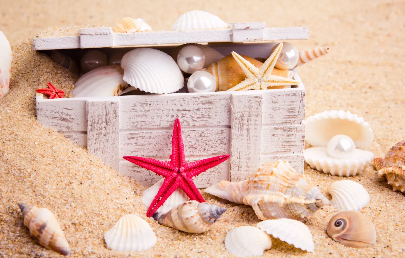 Photo wallpaper sand, sea, nature, starfish, pearls, chest, seashells