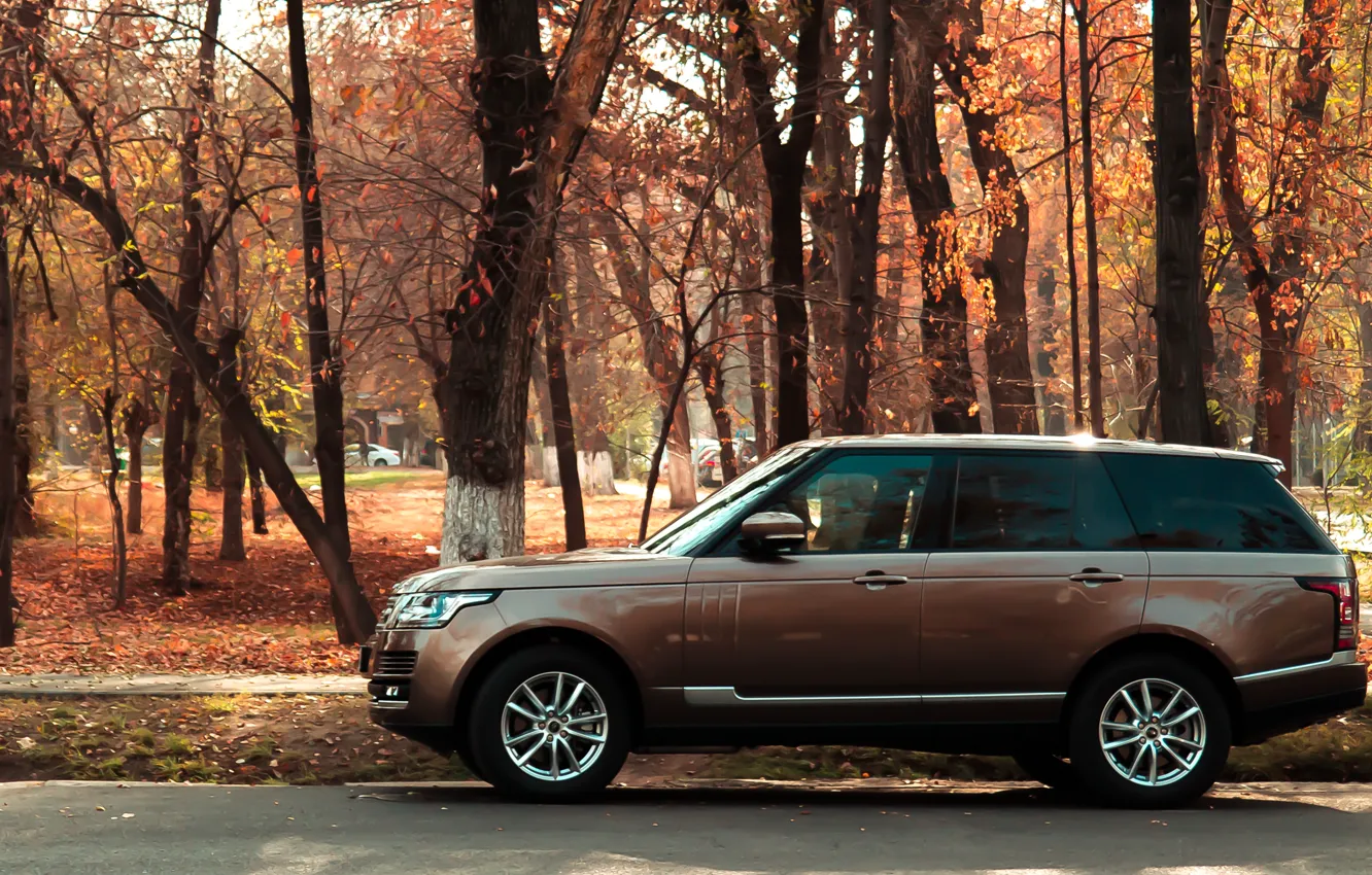 Photo wallpaper machine, autumn, range rover, bronze