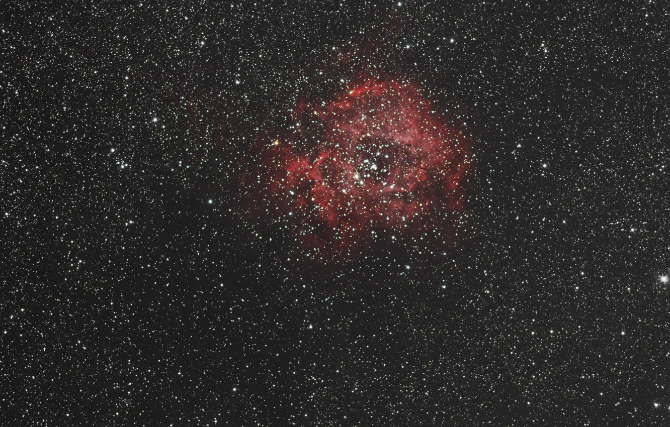 Photo wallpaper unicorn, in the constellation, Rosette Nebula, The Rosette Nebula