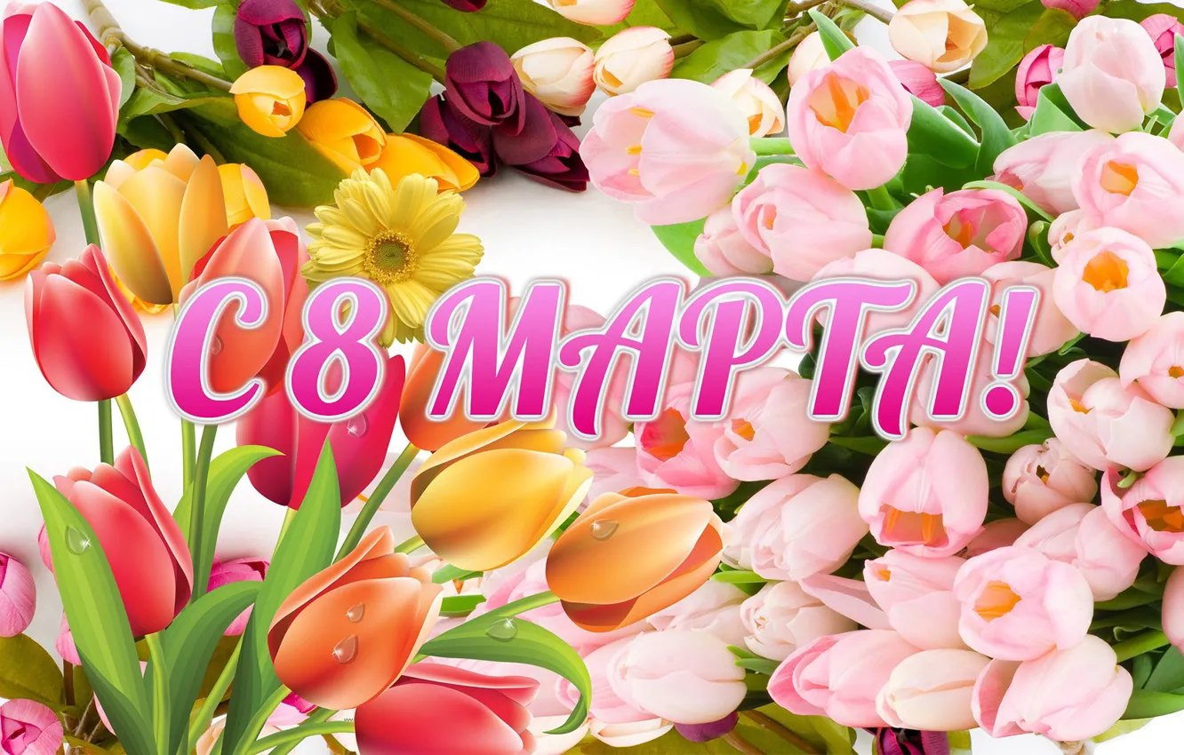 Photo wallpaper flowers, tulips, March 8