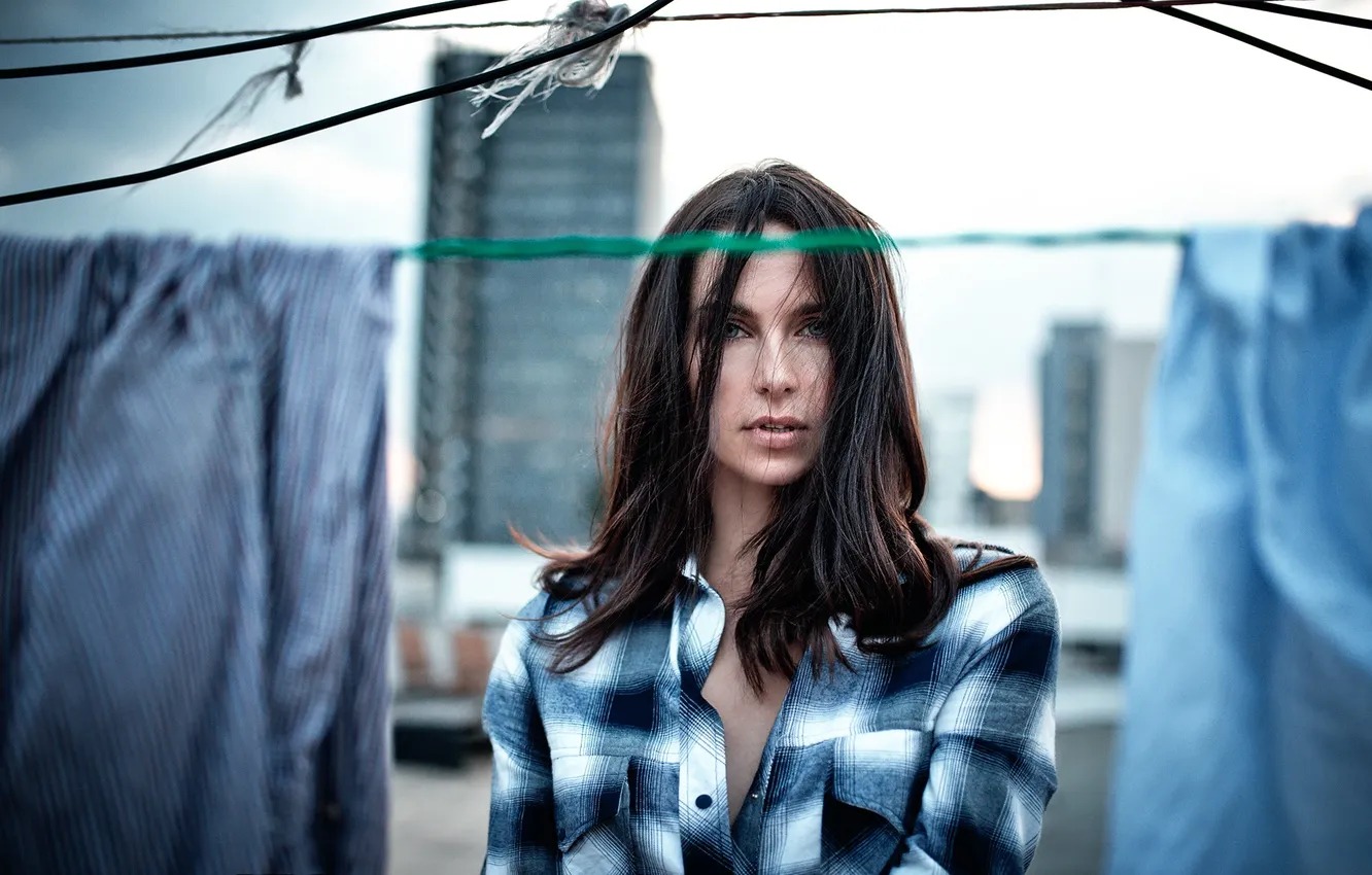 Photo wallpaper look, cell, shirt, sponge