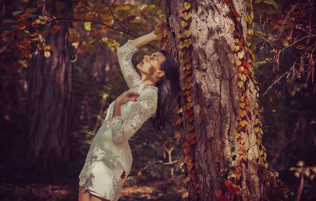 Photo wallpaper forest, girl, tree, dress