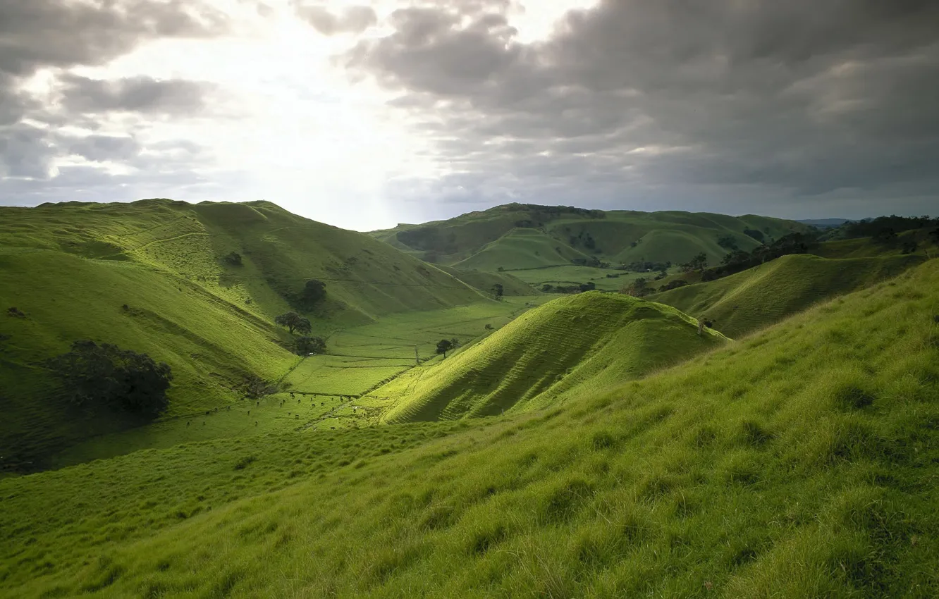 Photo wallpaper greens, field, the sky, grass, hills, meadow