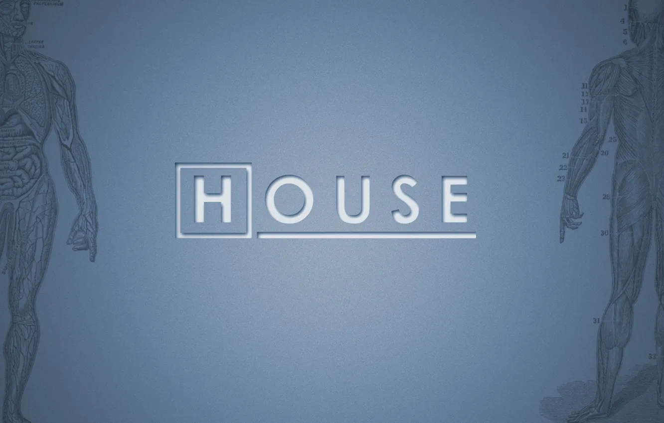 Photo wallpaper House, House, M.D., TV series
