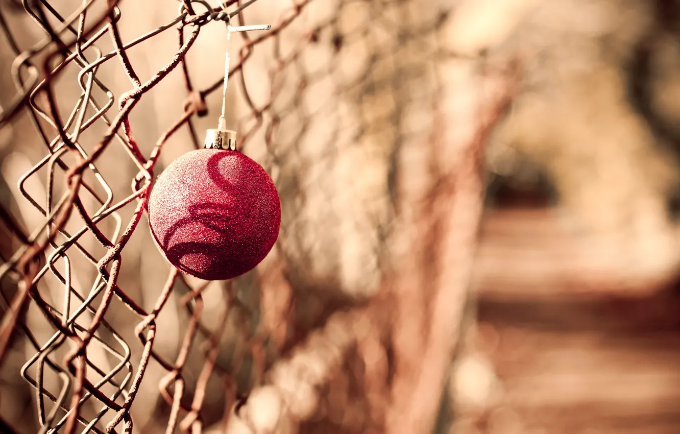 Photo wallpaper holiday, toy, the fence