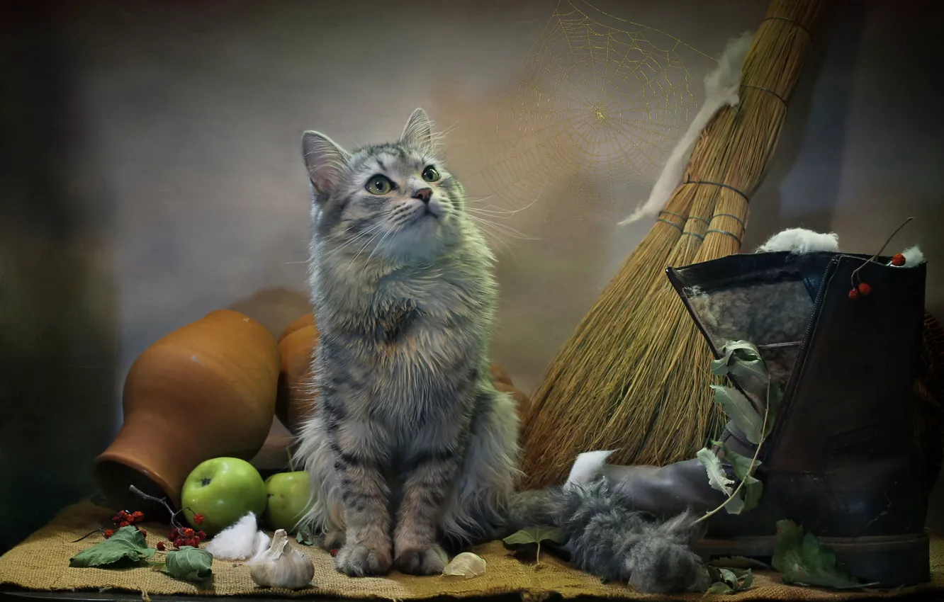 Photo wallpaper cat, cat, look, leaves, animal, apples, web, burlap
