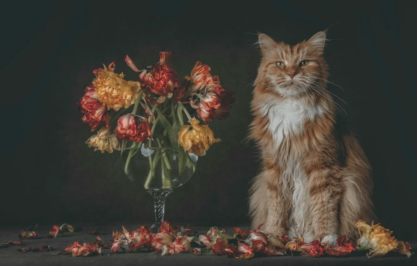 Photo wallpaper cat, cat, flowers, bouquet